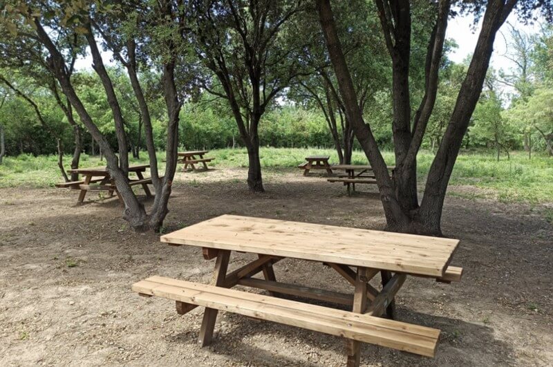 Vue sur les tables de pique-nique à Ambrussum