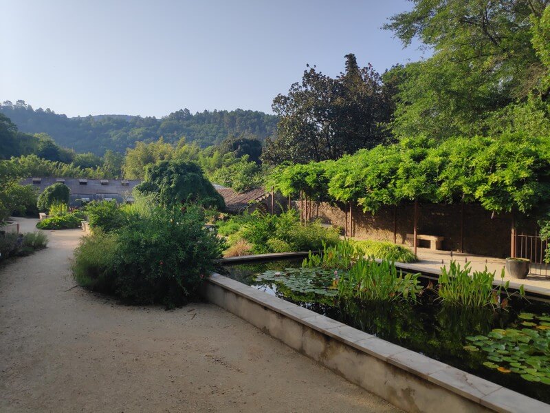 Vue sur le jardin dans la Bambouseraie