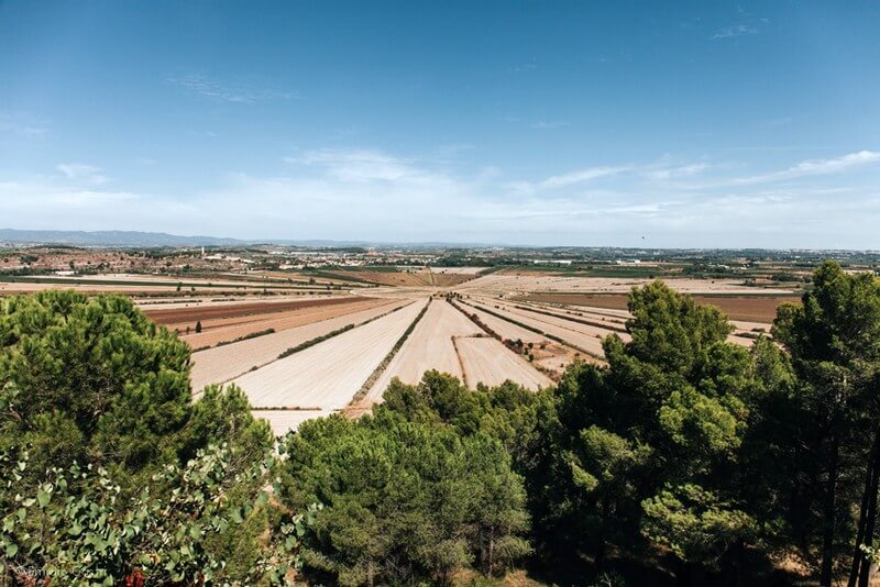 Vue sur le soleil de Montady