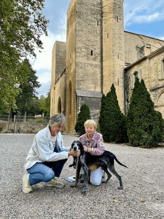 Accueil des chiens à l'Abbaye de Valmagne