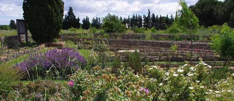 Vue sur le jardin des potiers Gallo-romain