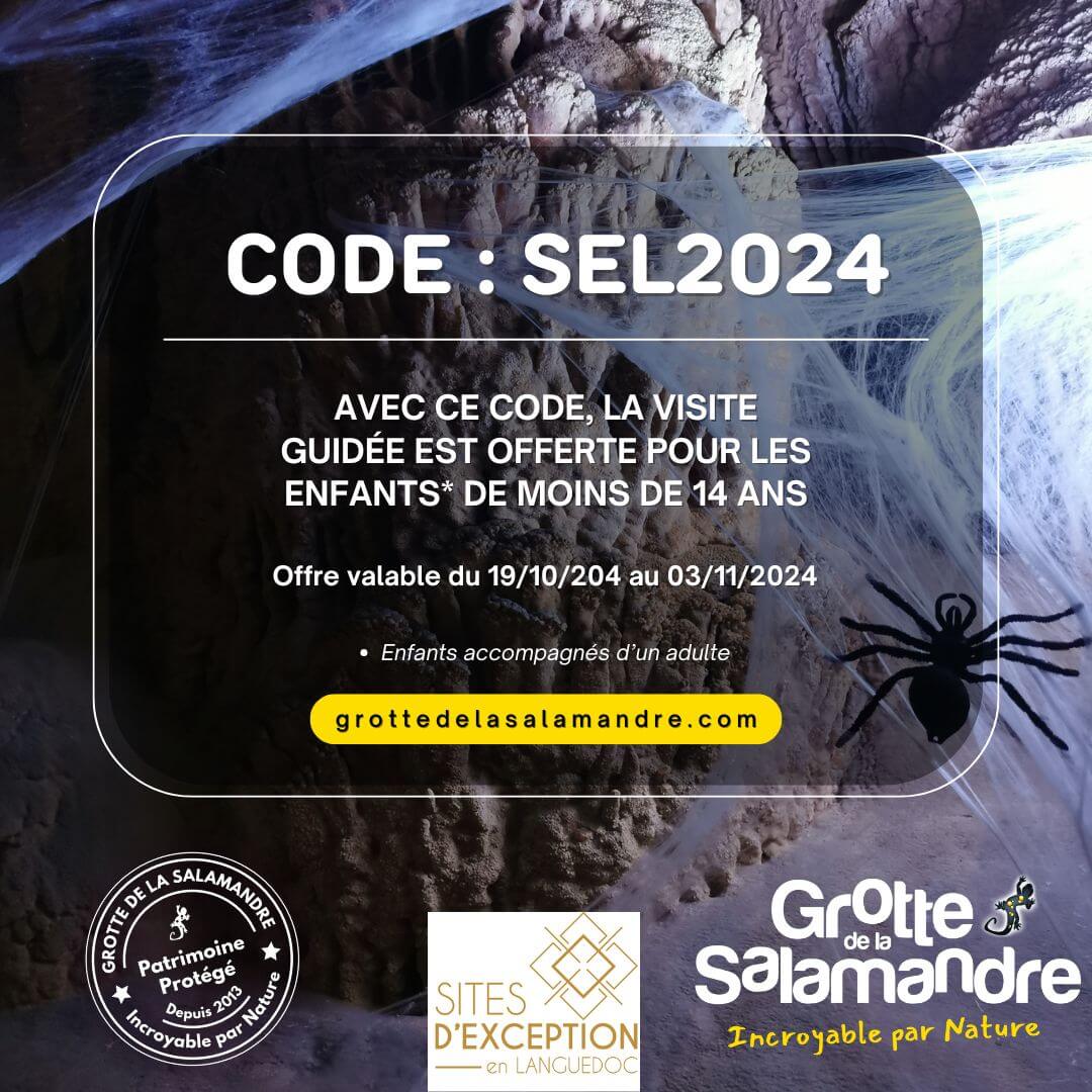 Code promo SEL2024 - Grotte de la salamandre