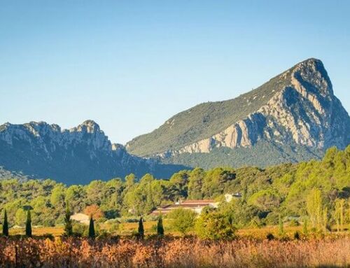 Les plus beaux lieux à visiter autour du Pic Saint-Loup