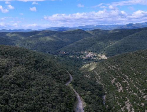 Quels sont les plus beaux sites naturels des Cévennes ?