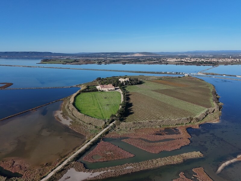 Domaine de Maguelone et Cathédrale